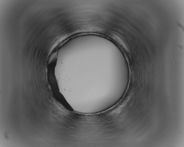 X0000098120781200804251451