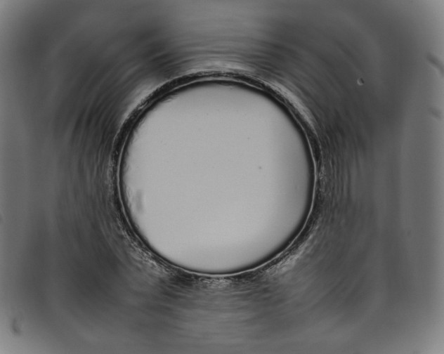 X0000098120783200804251451