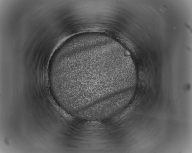 X0000098120784200804251451