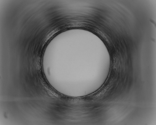 X0000098120786200804251451