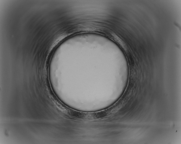 X0000098120787200804251451
