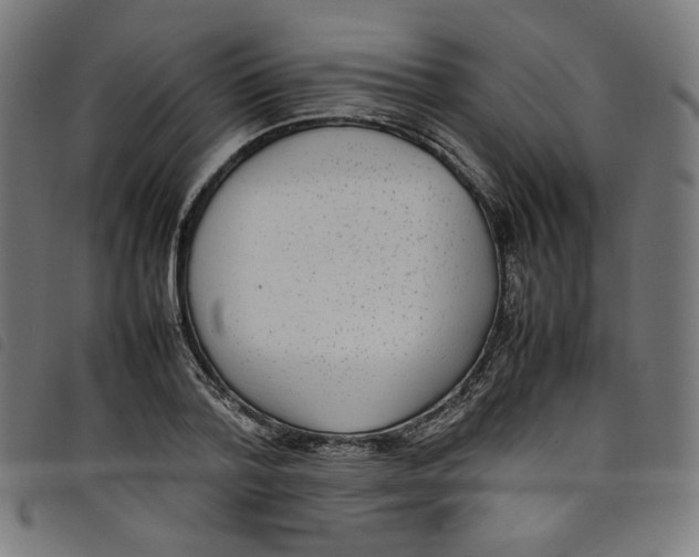 X0000098120788200804251451