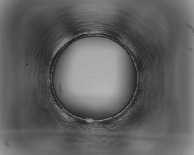 X0000098120789200804251451