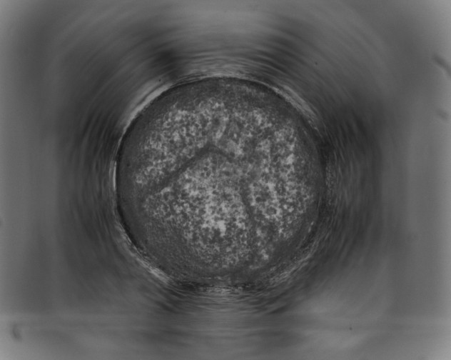 X0000098120790200804251451