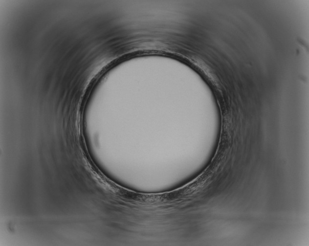 X0000098120791200804251451