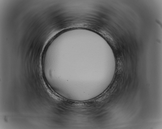 X0000098120792200804251451