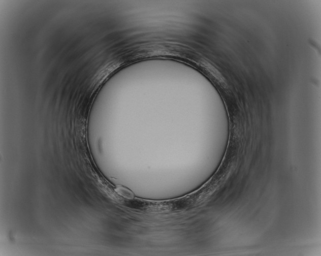 X0000098120793200804251451