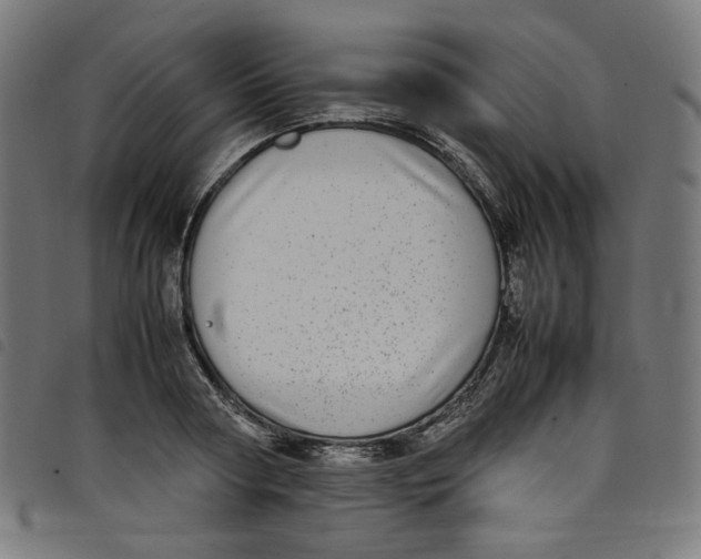 X0000098120794200804251451