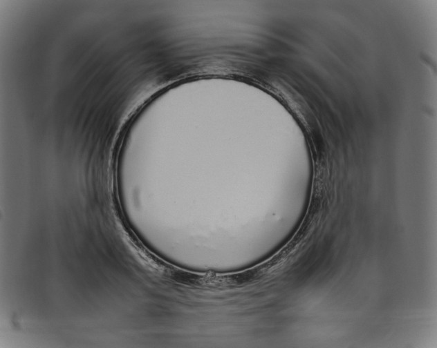 X0000098120795200804251451