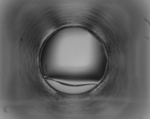 X0000098120797200804251451