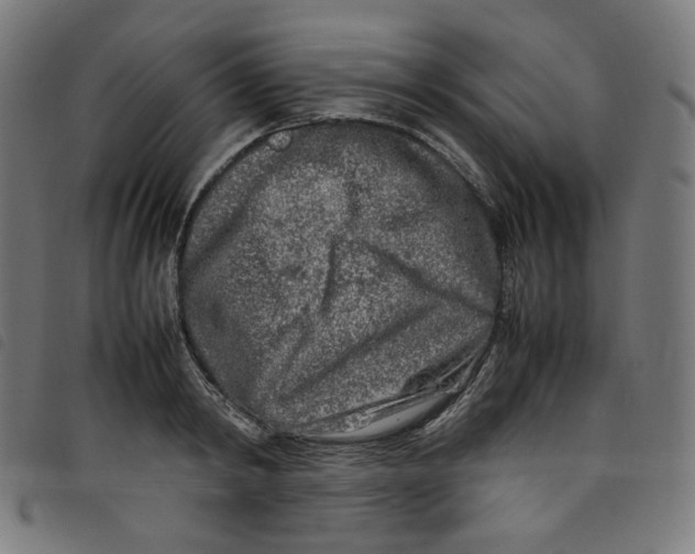 X0000098120798200804251451