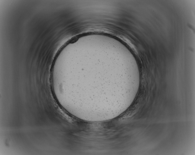 X0000098120799200804251450