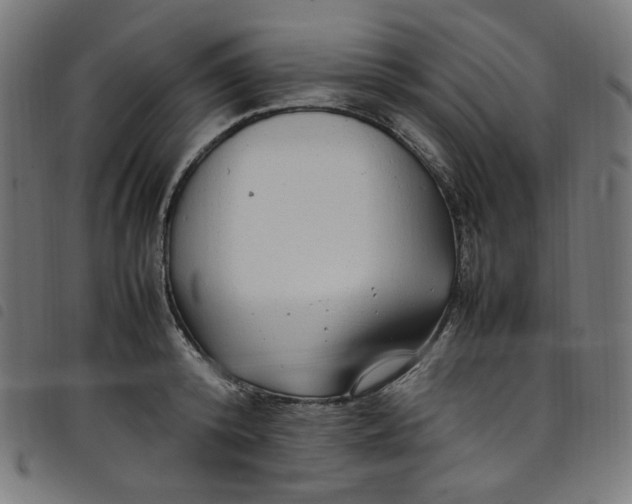 X0000098120800200804251450