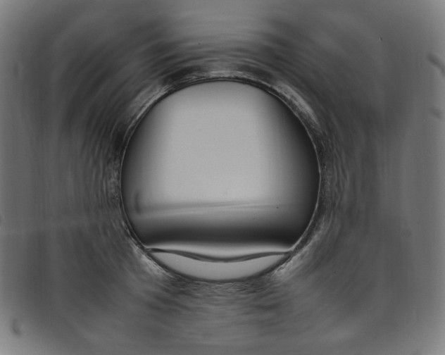 X0000098120801200804251450