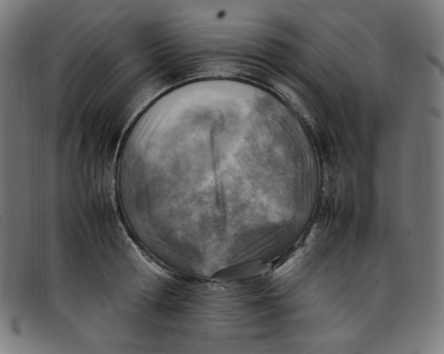 X0000098120802200804251450