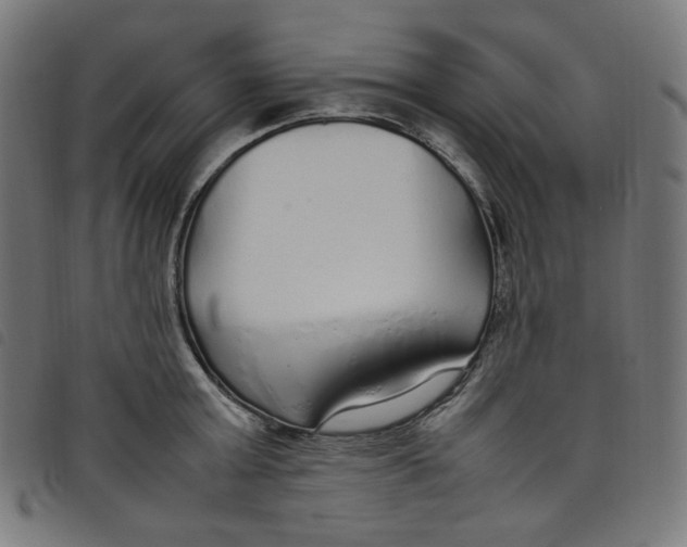 X0000098120803200804251450