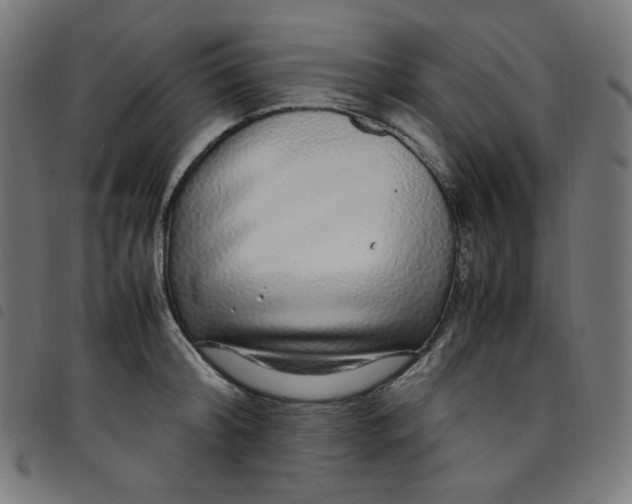 X0000098120804200804251450