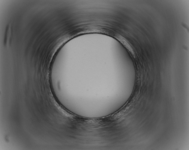 X0000098120805200804251450