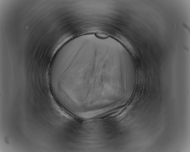 X0000098120806200804251450