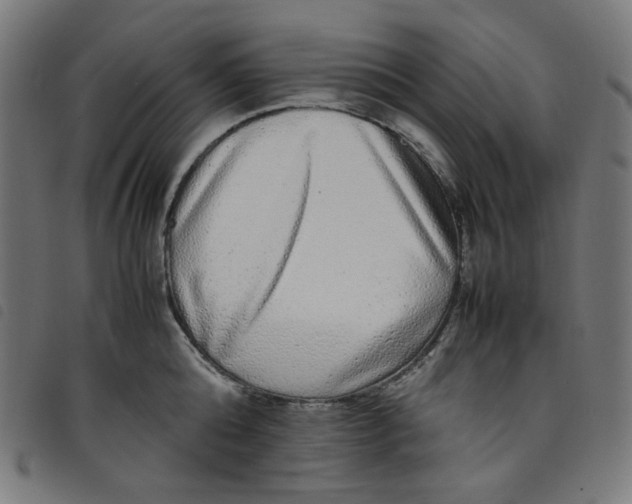 X0000098120808200804251450