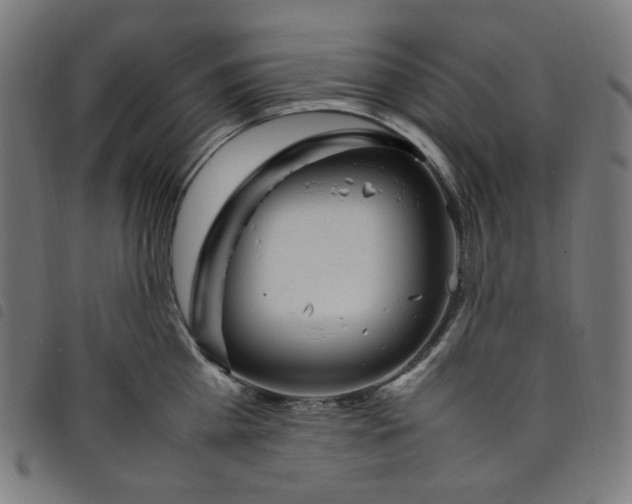 X0000098120809200804251450