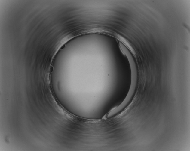 X0000098120810200804251450