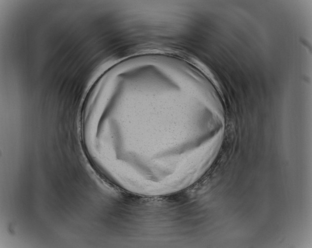 X0000098120811200804251450