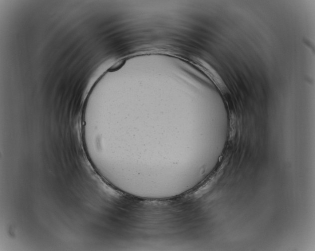 X0000098120812200804251450