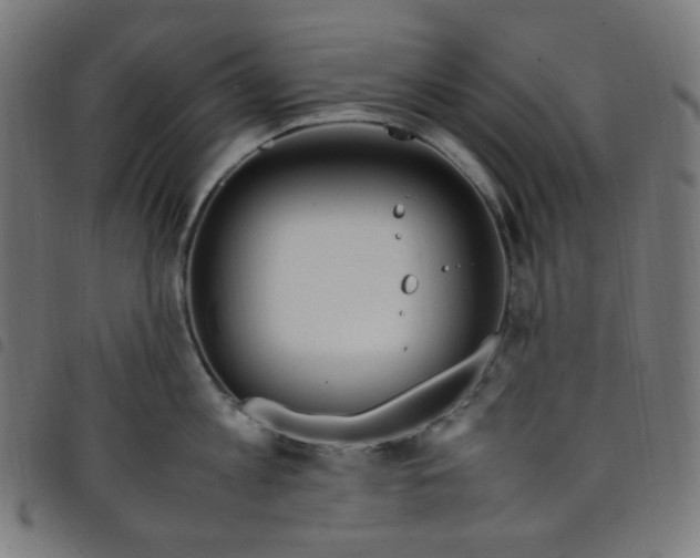 X0000098120813200804251450