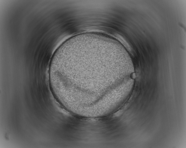X0000098120814200804251450