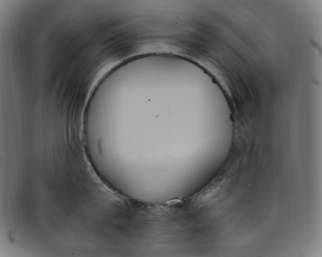 X0000098120815200804251450