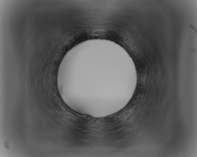 X0000098120817200804251450
