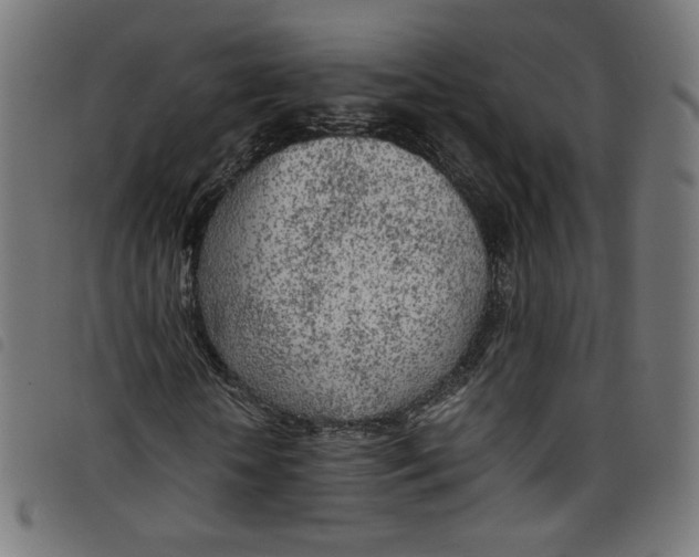 X0000098120818200804251450