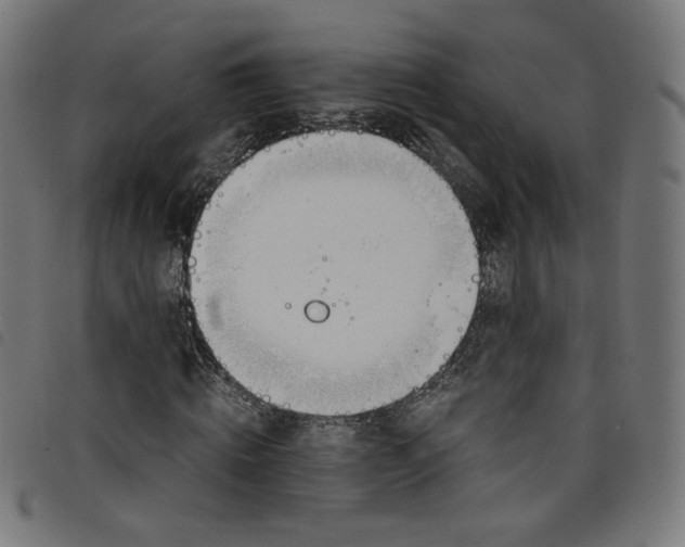 X0000098120820200804251450