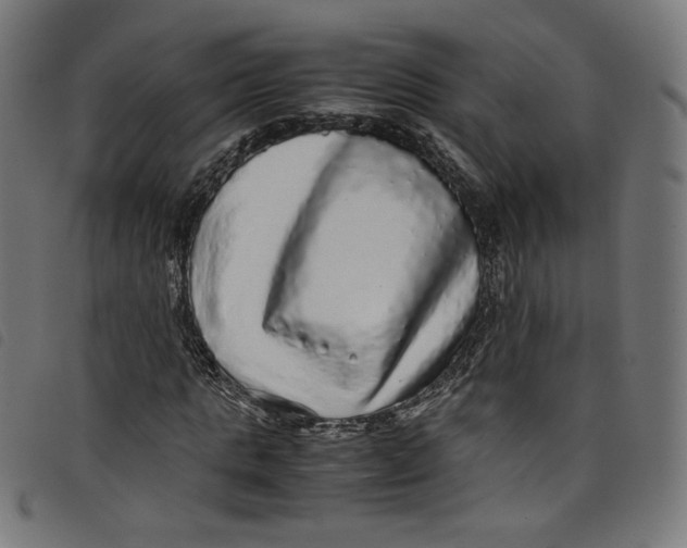 X0000098120821200804251450