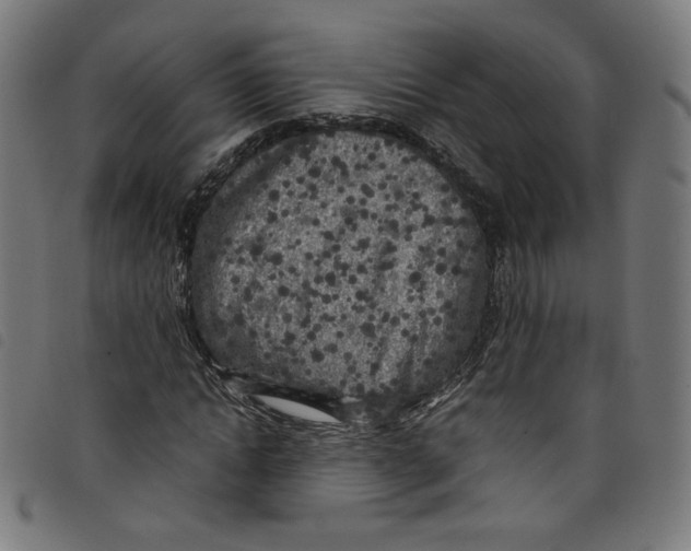 X0000098120822200804251450