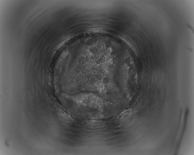 X0000098120823200804251450
