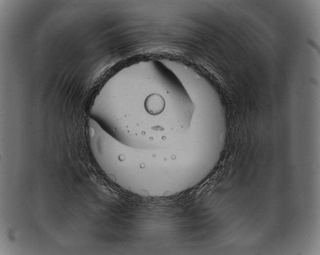 X0000098120824200804251450