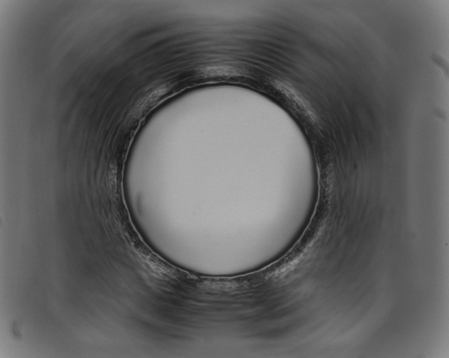 X0000098120825200804251450