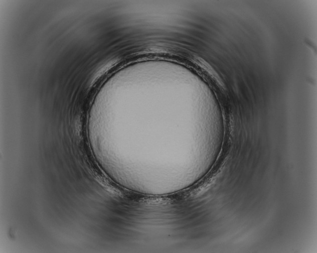 X0000098120826200804251450