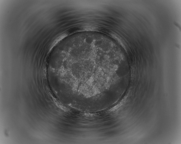 X0000098120827200804251450