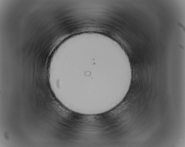 X0000098120828200804251450