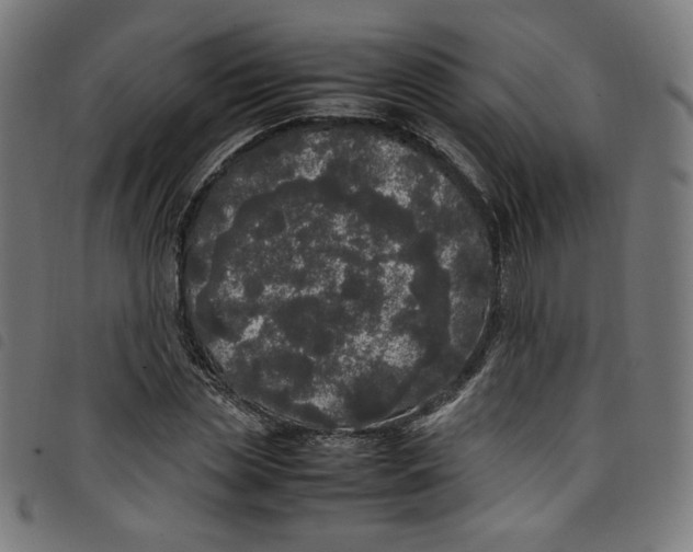 X0000098120829200804251450