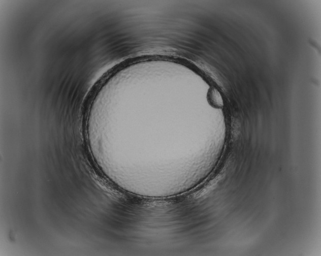 X0000098120830200804251450