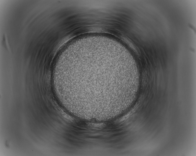 X0000098120831200804251450