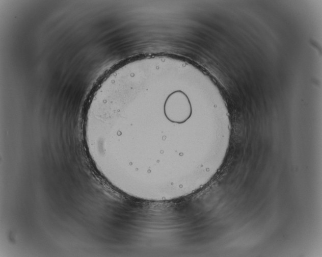 X0000098120832200804251450