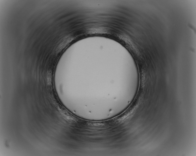 X0000098120833200804251450