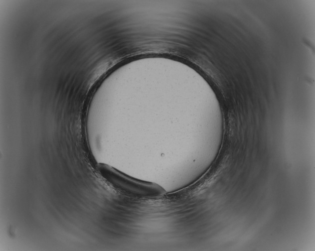 X0000098120834200804251450
