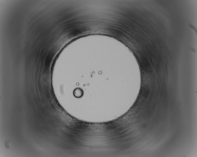 X0000098120836200804251450