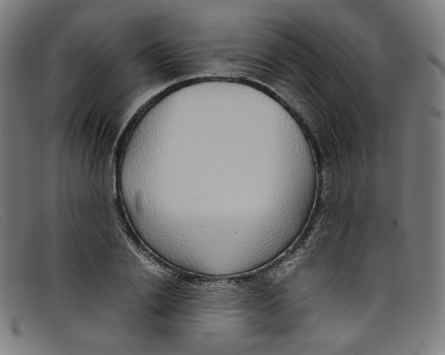 X0000098120838200804251450